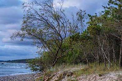 安徽鲨鱼客场负于广东勇士队，战绩有所下滑，安徽鲨鱼科技有限公司