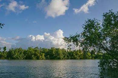 安徽鲨鱼客场负于广东勇士队，战绩有所下滑，安徽鲨鱼科技有限公司